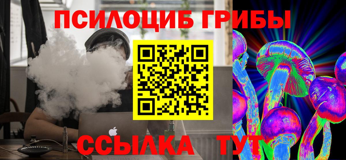 Донецк  Псилоцибиновые грибы Psilocybe  Вход с VPN 